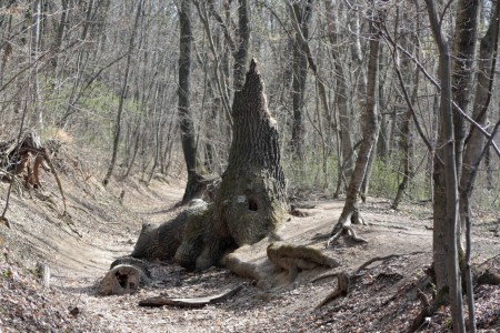 erdei manók vára :-)